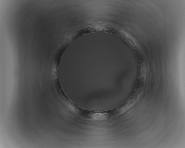 X0000112350465200908271236