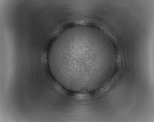 X0000112350466200908271236