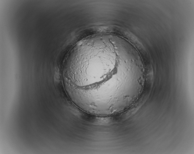 X0000112350469200908271236