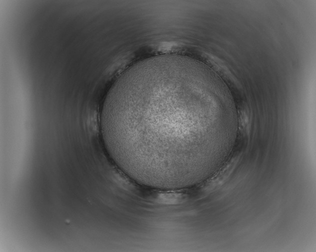 X0000112350470200908271236