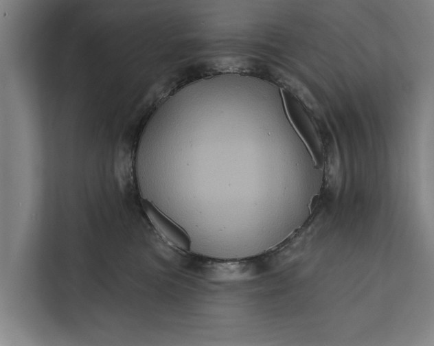 X0000112350473200908271236