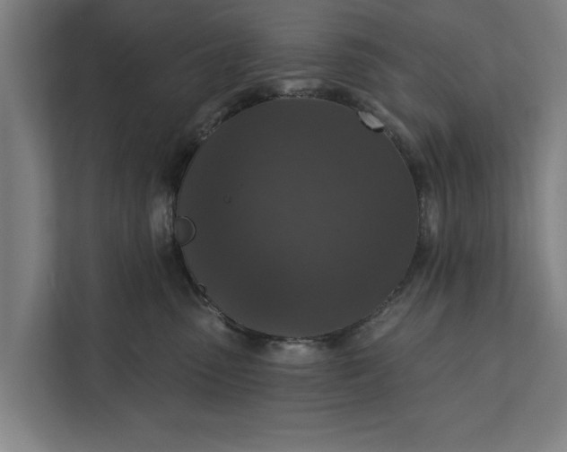 X0000112350475200908271236