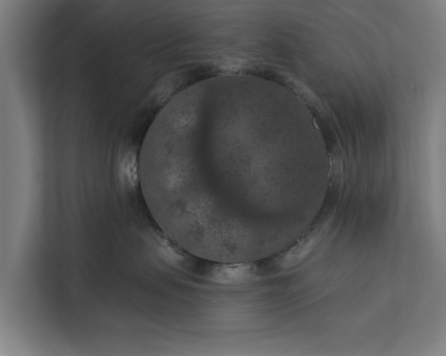 X0000112350479200908271236