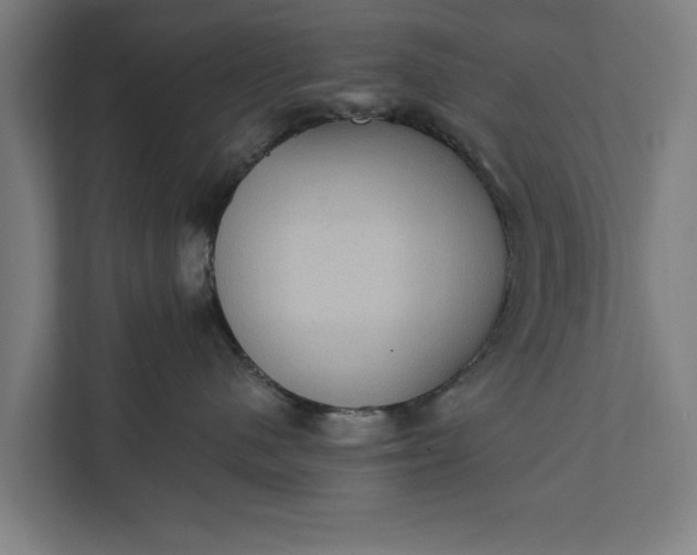 X0000112350480200908271236