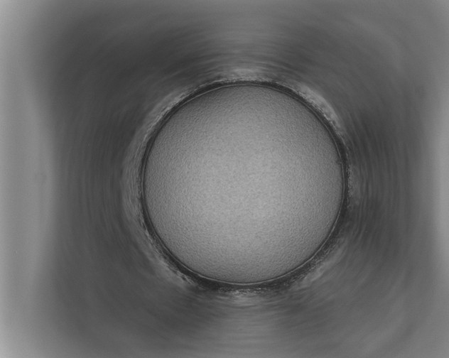 X0000112350481200908271236