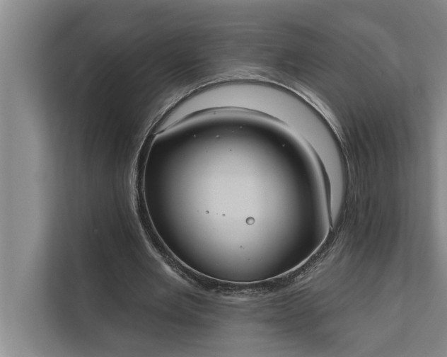 X0000112350485200908271236