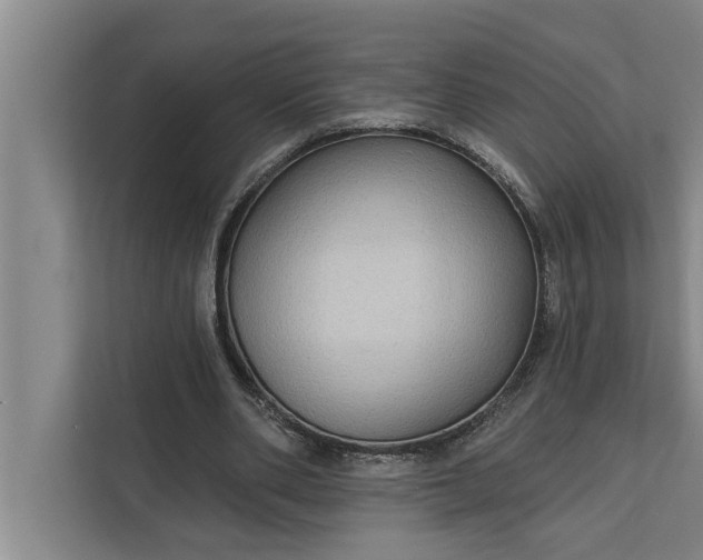 X0000112350486200908271236