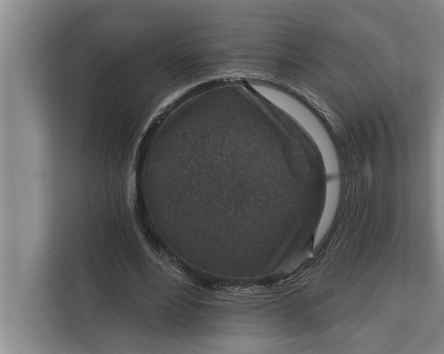 X0000112350488200908271236