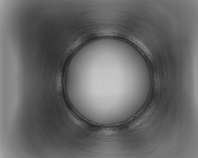 X0000112350489200908271236