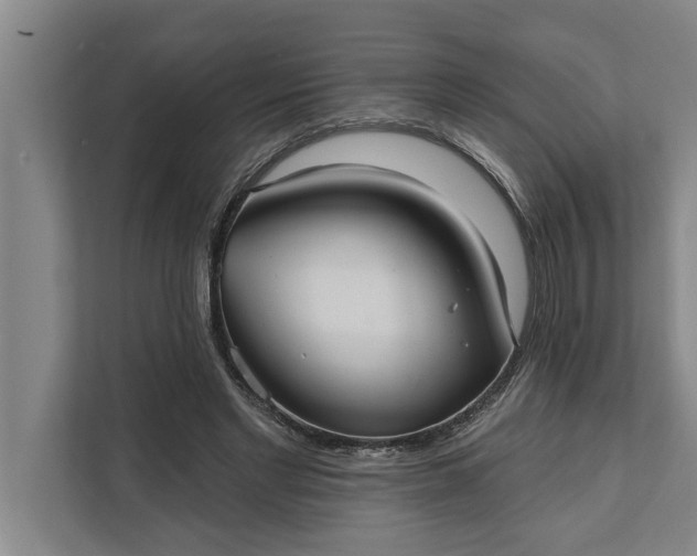 X0000112350493200908271236