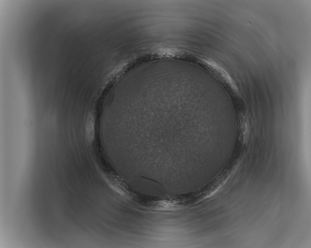 X0000112350496200908271236