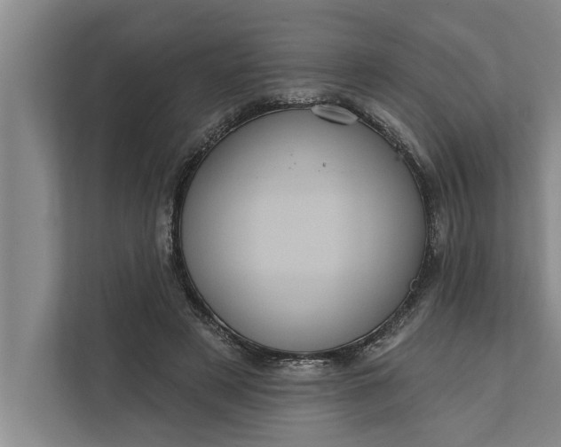 X0000112350497200908271236