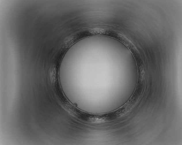 X0000112350498200908271236