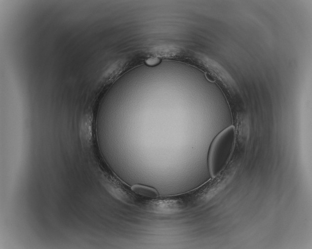 X0000112350501200908271236