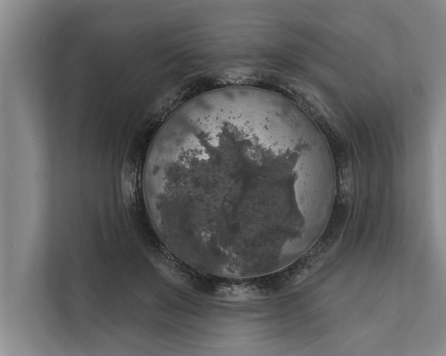 X0000112350503200908271236