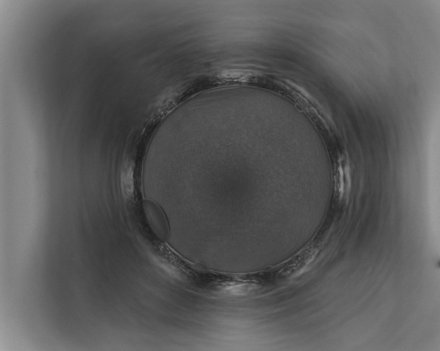 X0000112350504200908271236