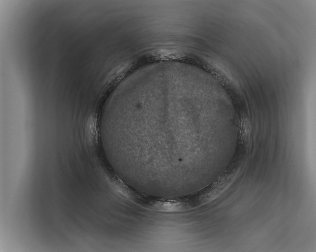 X0000112350506200908271236