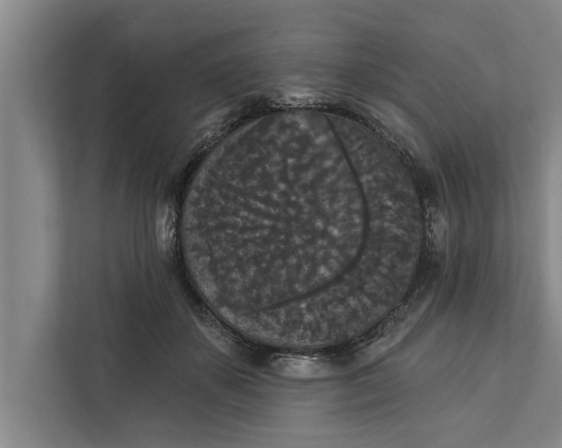 X0000112350507200908271236