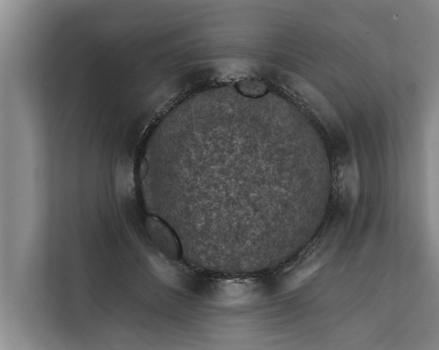 X0000112350508200908271235