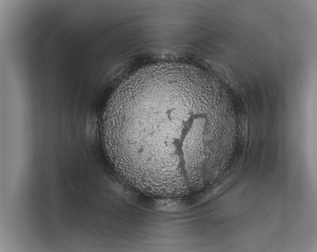 X0000112350511200908271235