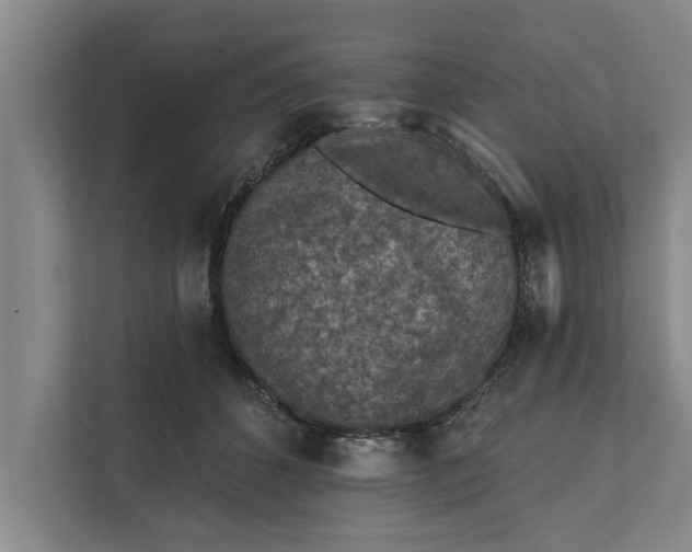 X0000112350512200908271235