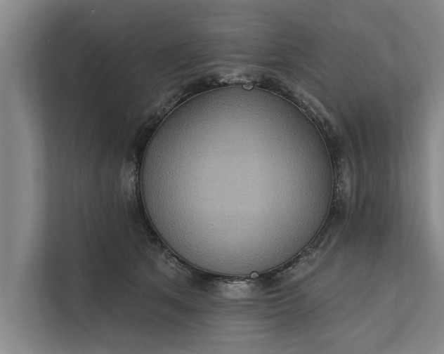 X0000112350513200908271235