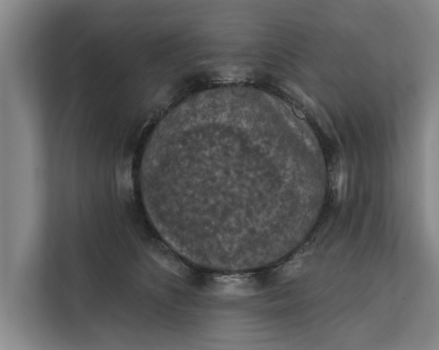 X0000112350516200908271235