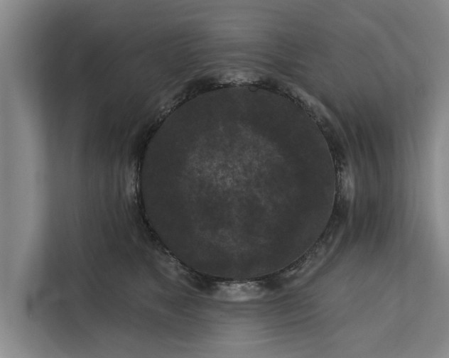 X0000112350517200908271235