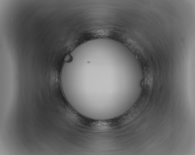 X0000112350518200908271235