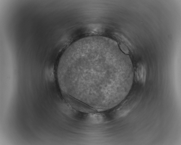 X0000112350520200908271235