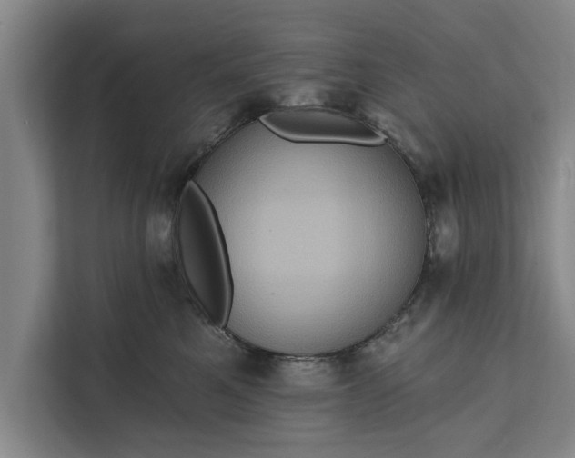 X0000112350521200908271235