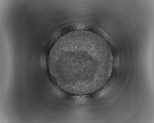 X0000112350524200908271235