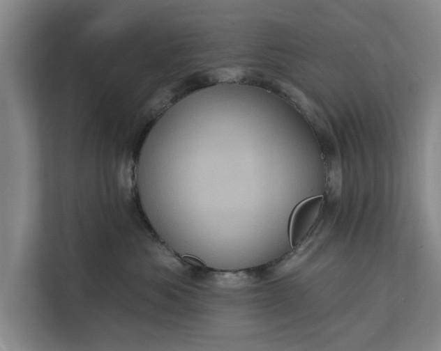 X0000112350525200908271235