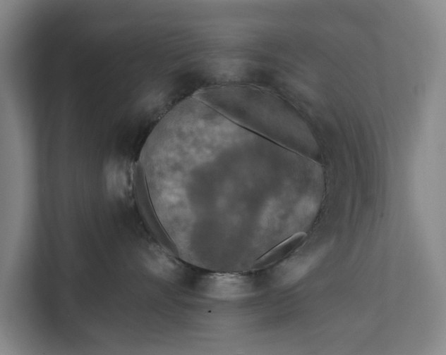 X0000112350528200908271235