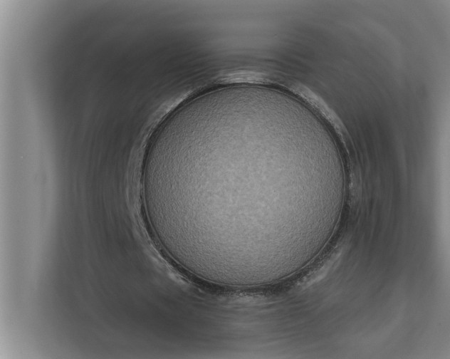 X0000112350529200908271235