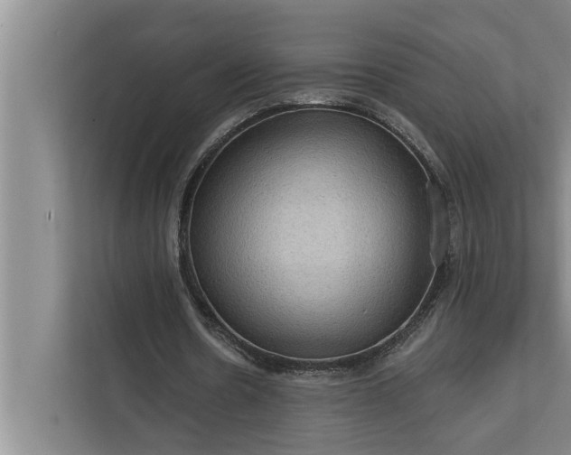 X0000112350530200908271235