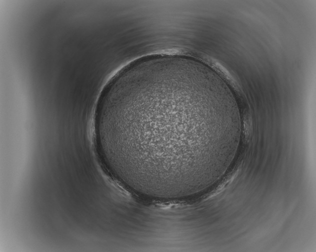 X0000112350532200908271235