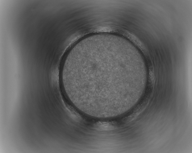 X0000112350534200908271235