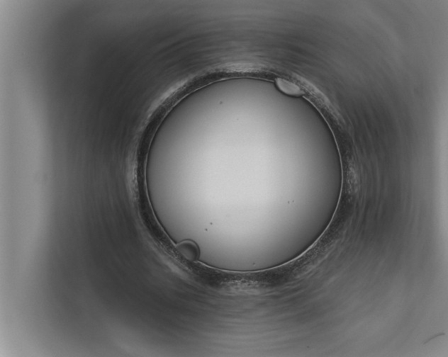 X0000112350535200908271235