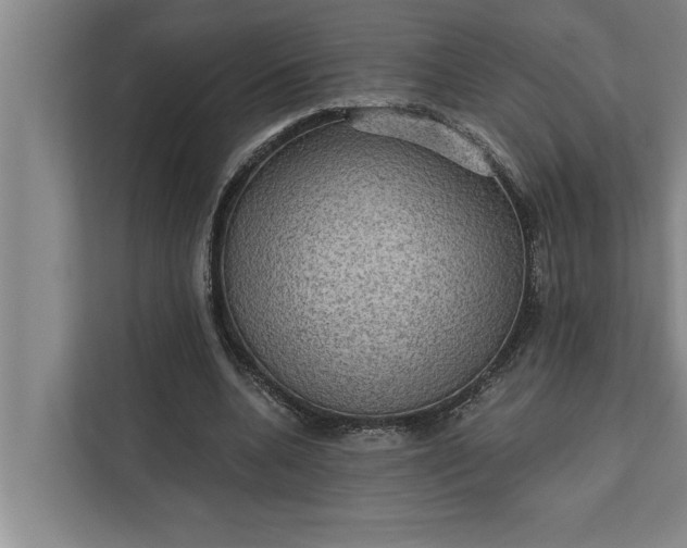 X0000112350536200908271235