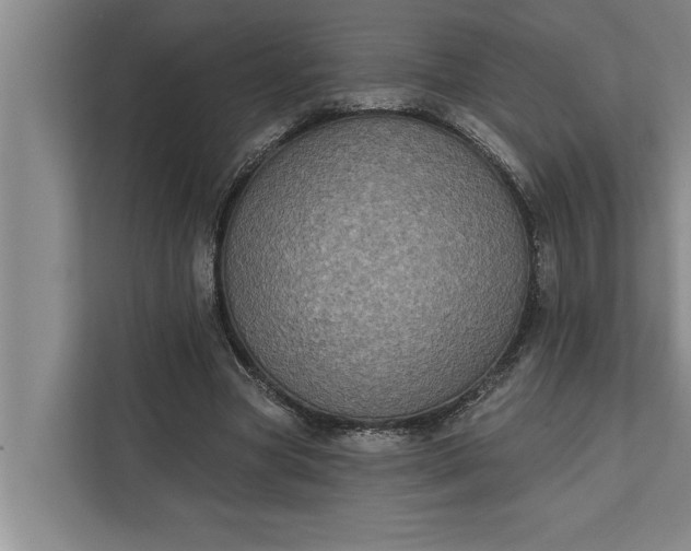 X0000112350537200908271235