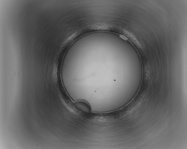 X0000112350538200908271235