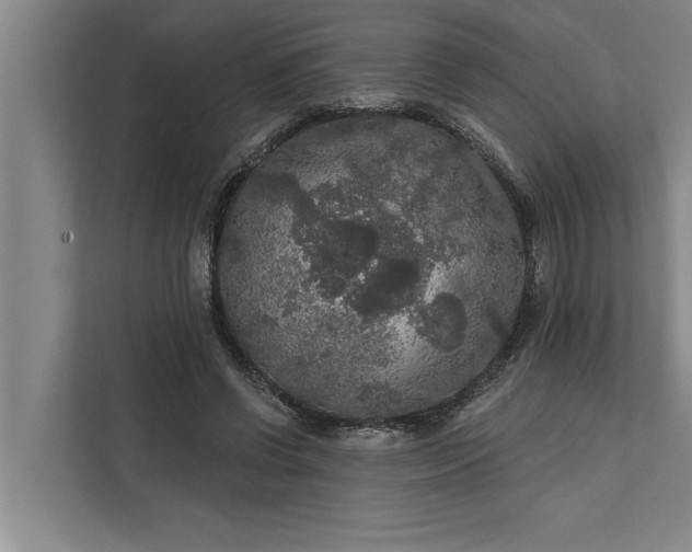 X0000112350542200908271235