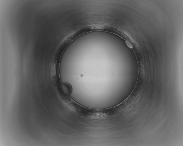 X0000112350543200908271235