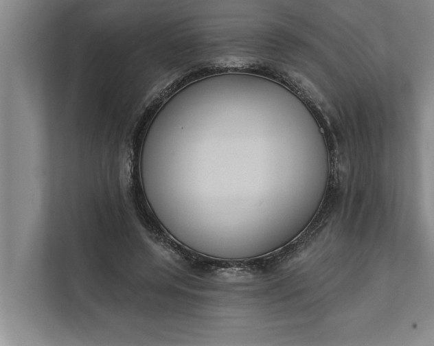 X0000112350544200908271235