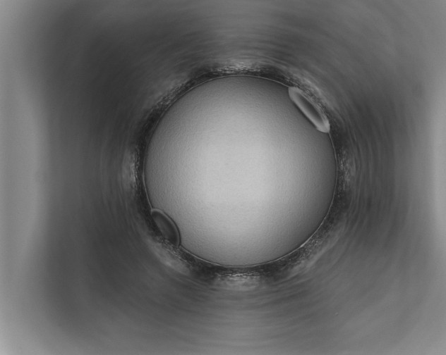 X0000112350546200908271235