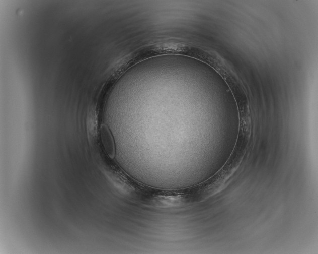 X0000112350552200908271235