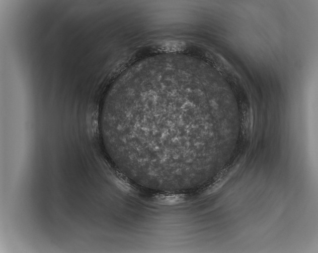 X0000112350553200908271235