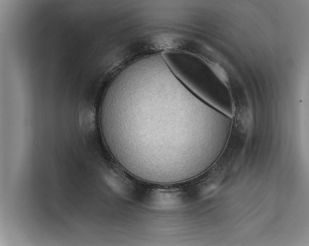 X0000112350556200908271235