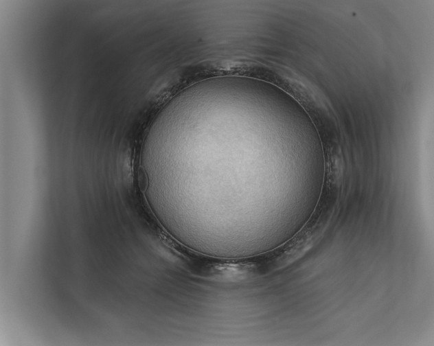 X0000112350558200908271235